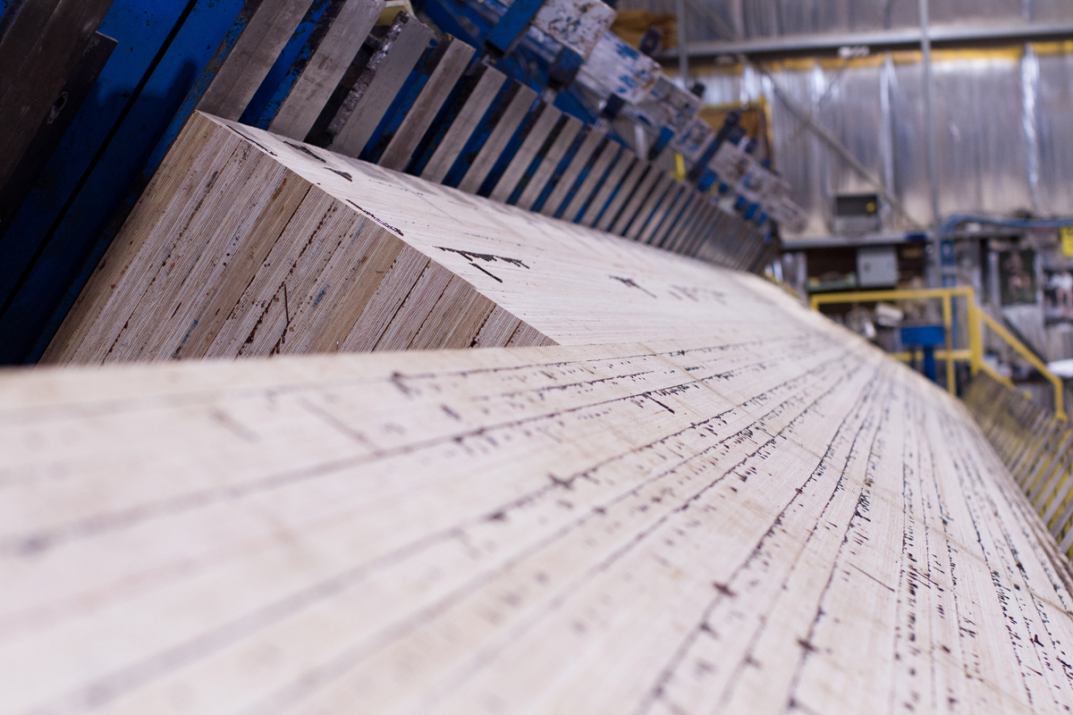 Close up view of laminated veneer lumber (LVL), one of several different mass timber products made in BC, while being manufactured