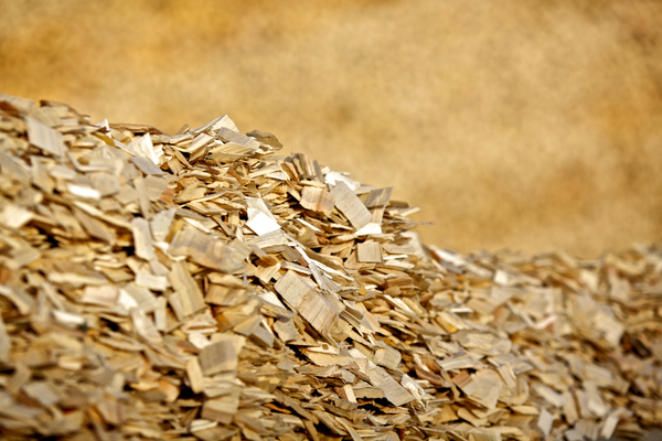 Close up image of wood chips, known as northern bleached softwood kraft (NBSK), used in a variety of paper products including tissue grades, printing and writing papers, lightweight coated papers for catalogues, magazines and speciality papers